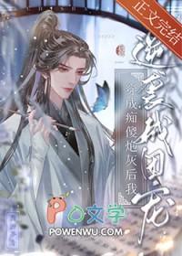 穿成傻子后我坑了渣攻