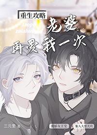 老婆再爱我一次重生txt