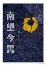 南望今宵