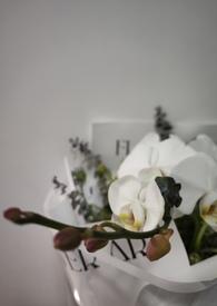 我的未婚妻16岁