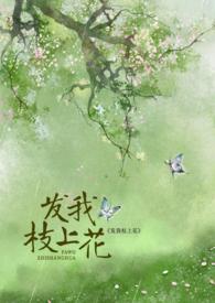 发我枝上花讲的什么