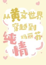 穿进黄文里怎么