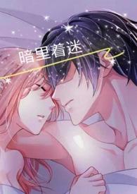 暗里着迷简谱完整版