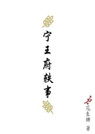 宁王府定制
