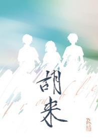 胡来是什么意思