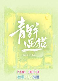 青野照市