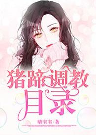 猪蹄seo