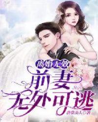 离婚无效前妻休想逃txt