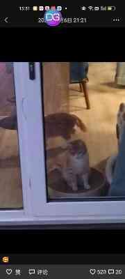 好友放炮炸出眼伤与赔偿官司