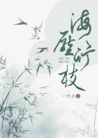海压竹支