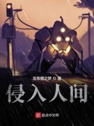 侵入人间有雷吗