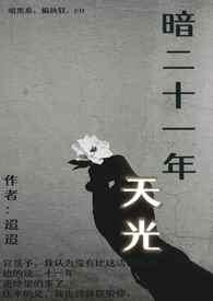 暗二十一年天光大结局