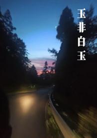 玉石非玉讲的什么