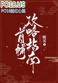 首辅攻略指南瞰雾