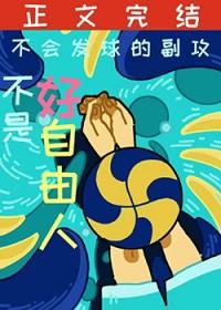 排球少年主攻手前三