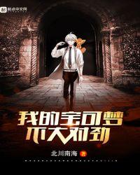 我的神奇宝贝不大对劲