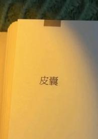 皮囊出轨h市鞍马