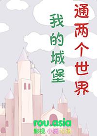 我的世界中的城堡