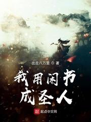 我用闲书成圣人 防盗