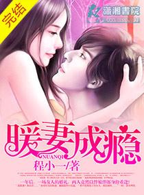 暖妻成瘾总共多少章