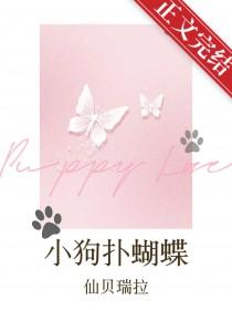 小狗在捉蝴蝶