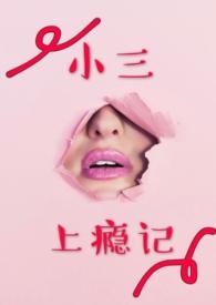 小三上瘾记 笔