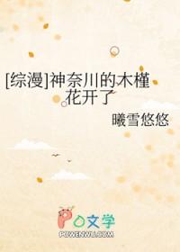 神奈川什么意思