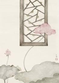 愿我如星君如月3