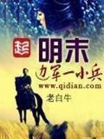 明末边军一小兵精校txt