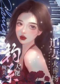 疯美钓系大佬追妻火葬场白娘子免费