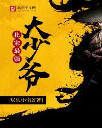 北宋少将