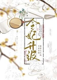 清穿之令贵妃晋升记情节