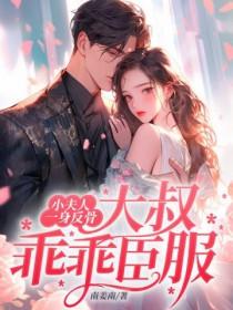 小夫人又甜又软