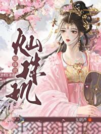 灿珠玑TXT提取码