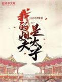 我的姐夫是太子精校版