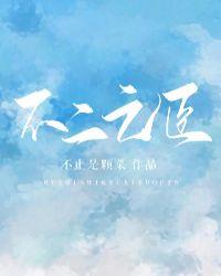 不二之臣男主