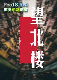 望北楼txt百度