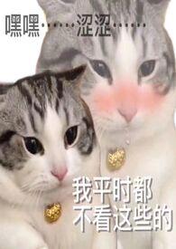 炉甘石的效用