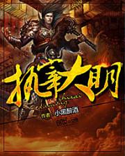 执宰大明奇书网