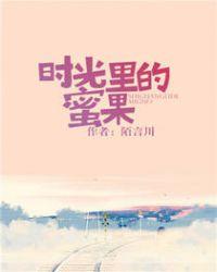 时光里的蜜果实体书番外