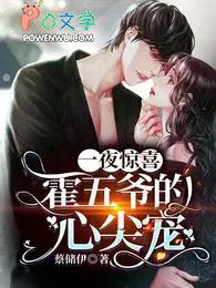 第一章一夜惊喜是什么