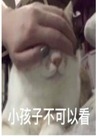 圈养番外