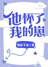 他怀了我的孩子by殷司