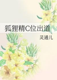 狐狸精狐狸