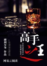 高手之王TXT