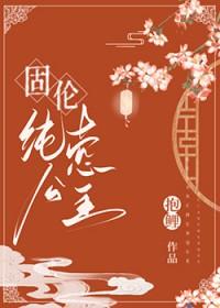 书名固伦纯禧公主