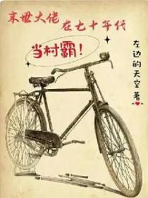 末世大佬在七零