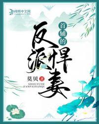 首辅家的悍妻