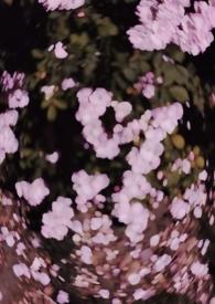 西沉寂静地 (校园 )作者骨跃Txt笔趣阁百度