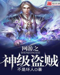 网游之超级盗贼阅读